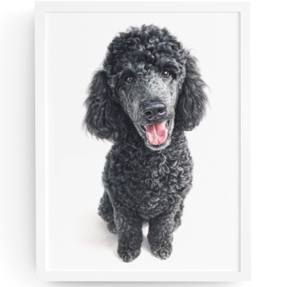 Watercolor Black Poodle Portrait Wall Art Print Poster, Unframed - Pet Artwork